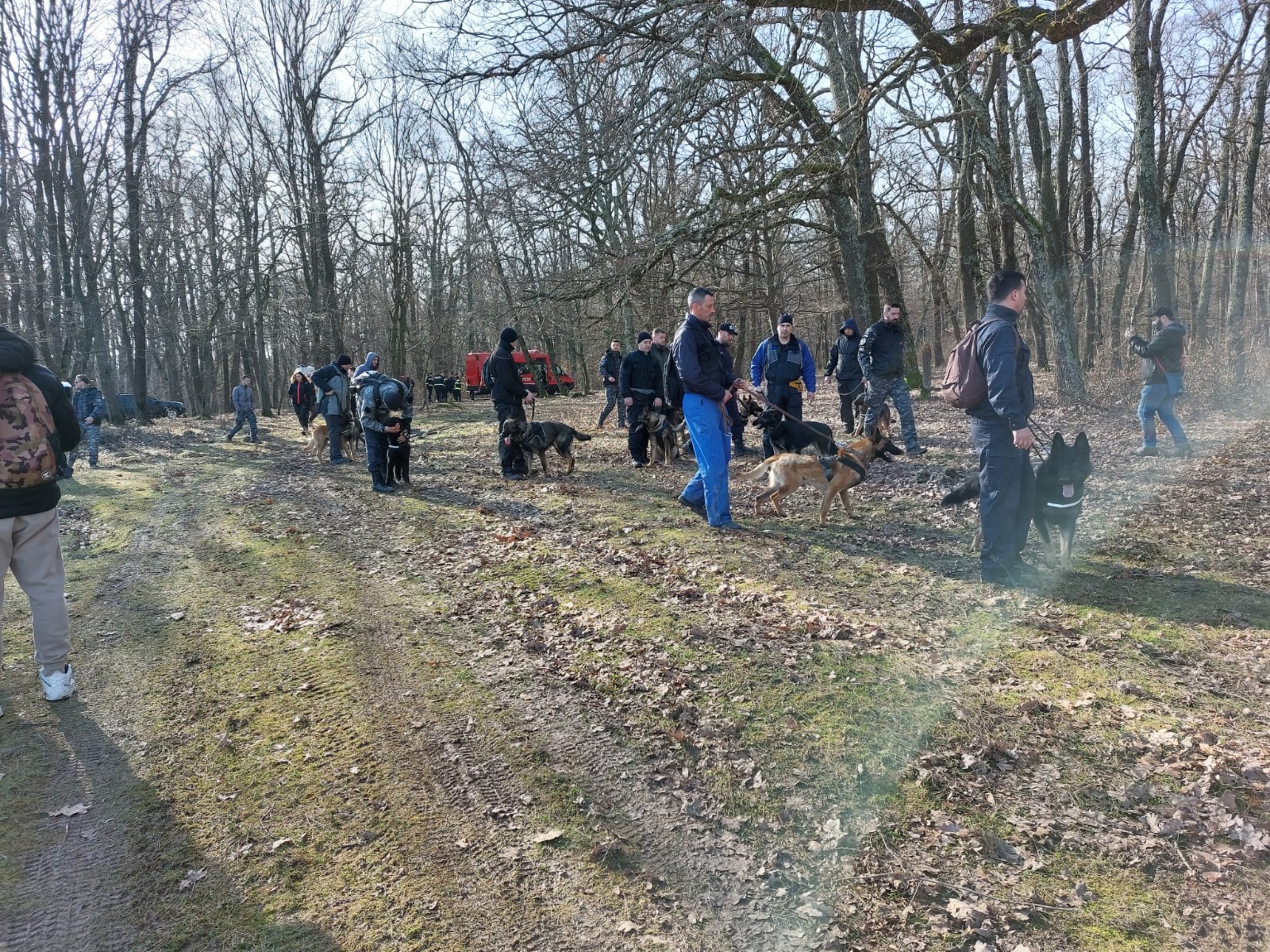 Studentă din Sibiu, dispărută de aproape o lună, căutată cu drone și peste 350 de oameni. Ce știu autoritățile