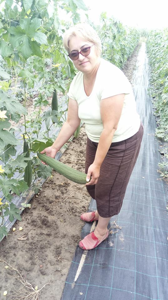 FOTO | O româncă și-a făcut o afacere inedită. Cultivă mii de bureți lufa