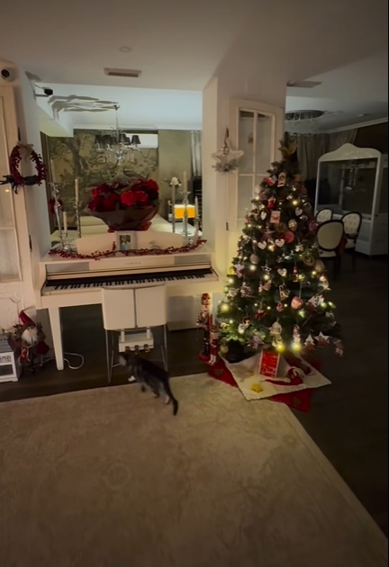 Imagini din casa Andreei Marin, decorată de Crăciun. În sufragerie are mai mulți brazi împodobiți, iar masa festivă e gata