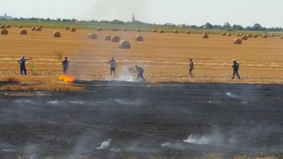 Incendiile de vegetație fac ravagii în Timiș. O mașină și mai multe hectare de teren, făcute scrum