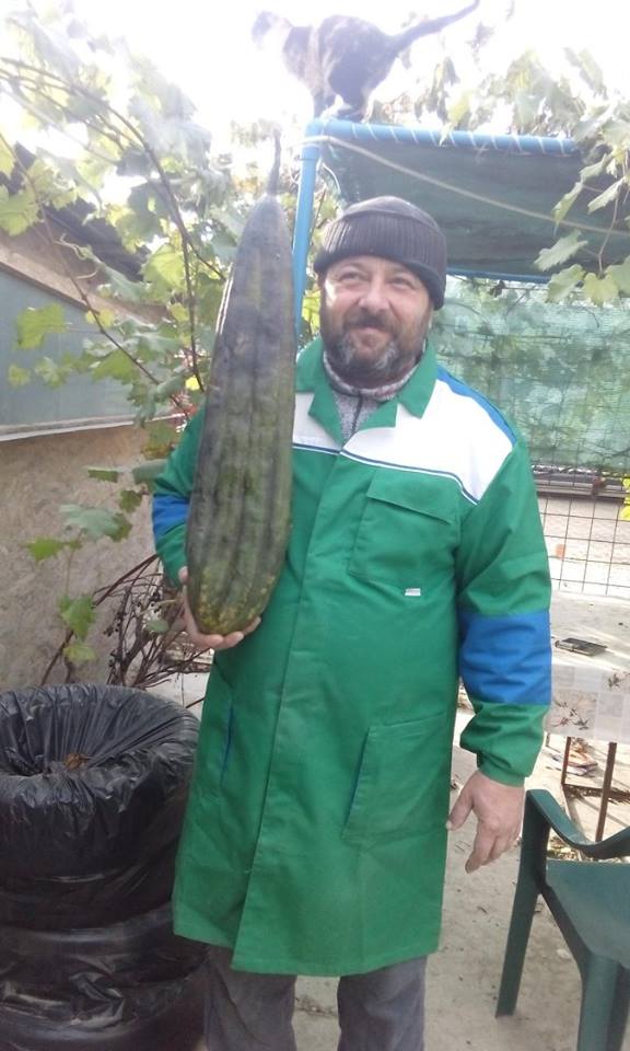 FOTO | O româncă și-a făcut o afacere inedită. Cultivă mii de bureți lufa