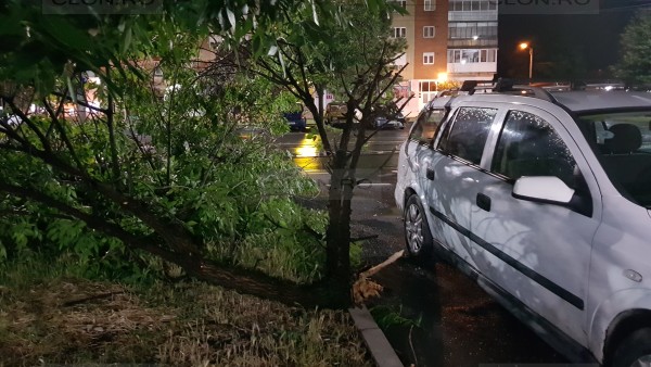 Furtună puternică în Arad. Incendiu, sute de case fără curent și mașini distruse de copaci din cauza vijeliei