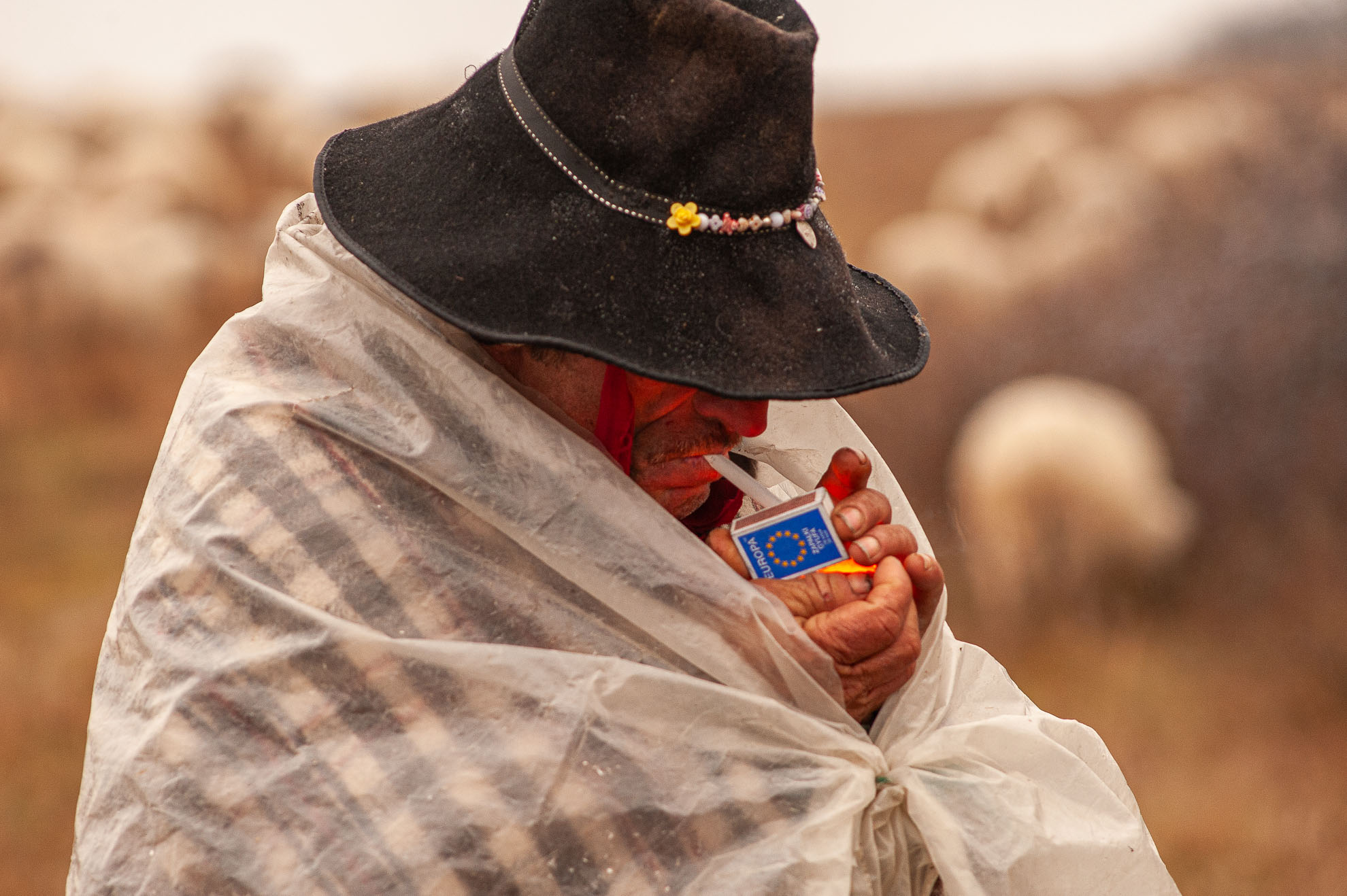 Transhumanța tocmai a intrat în patrimoniul UNESCO. Dar transhumanța, ca o proastă, tocmai a murit din cauza UE