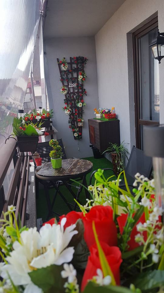Deea și Dinu Maxer și-au făcut terasă nouă. Ce a ieșit din mâinile lor | FOTO
