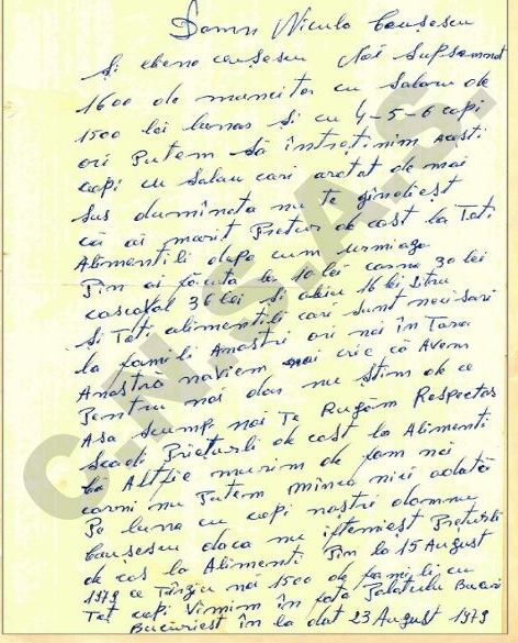 Misiunea unității speciale „S” din cadrul Securității: identificarea autorilor de „înscrisuri dușmănoase”. Mesaj către Nicolae Ceaușescu: „Ne-a ajuns cuțitul la gât”. 