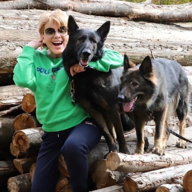 Connor, a 30 ezres követővel bíró német juhász gazdája felelőst keres - elpusztult a híres magyar németjuhász