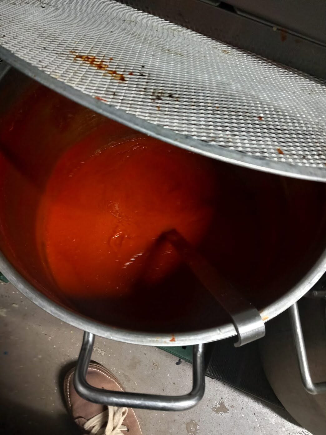 Amendă de 10.000 de lei și 94 kg de alimente retrase de la restaurantul Golful Pescarilor, de lângă Constanța. De ce au închis inspectorii localul | VIDEO