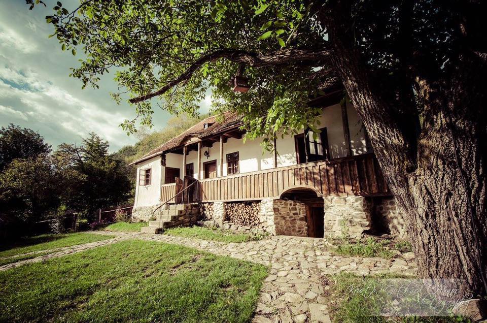 The New York Times a vizitat înainte de încoronare casa din Transilvania a regelui Charles, una dintre cele 56 de cabane, 12 case și 7 palate pe care acesta le deține