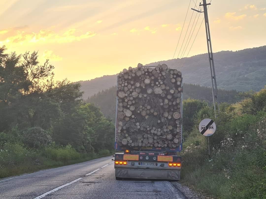 Un buștean a zburat dintr-un camion cu lemne și a trecut prin parbrizul unei mașini, pe DN 10, la Teliu, în Brașov