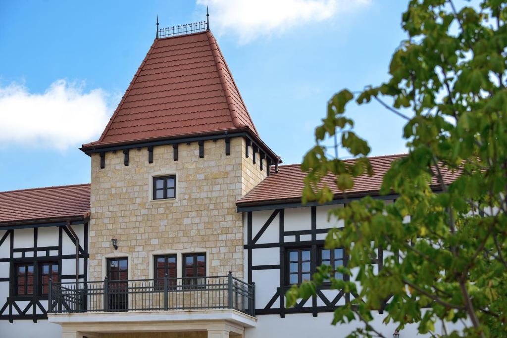Hotel cu „clinică de bere” cumpărat de stat, la Timișoara. Consiliul județean a plătit 2,1 milioane de euro și-l va converti în secție de psihiatrie 