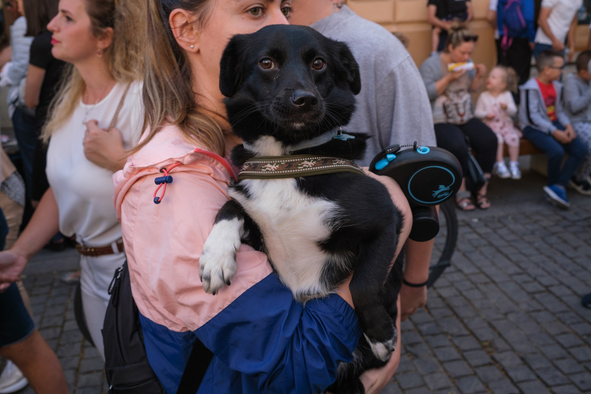 FOTOREPORTAJ de la Festivalul de Teatru de la Sibiu. Cum se transformă străzile unui oraș în scenă