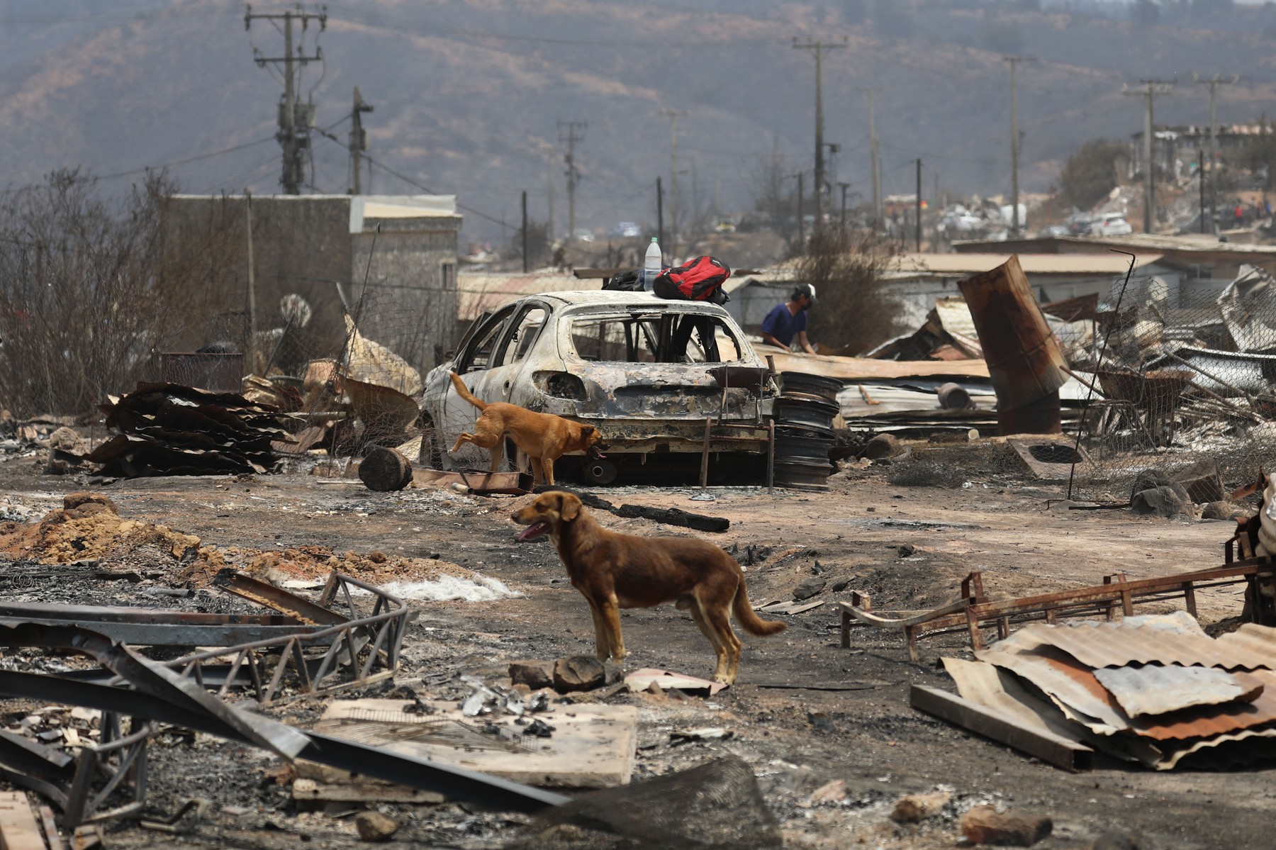 Chile se confruntă cu „cea mai mare tragedie din 2010”. Cel puţin 112 morţi în urma unor incendii de vegetație