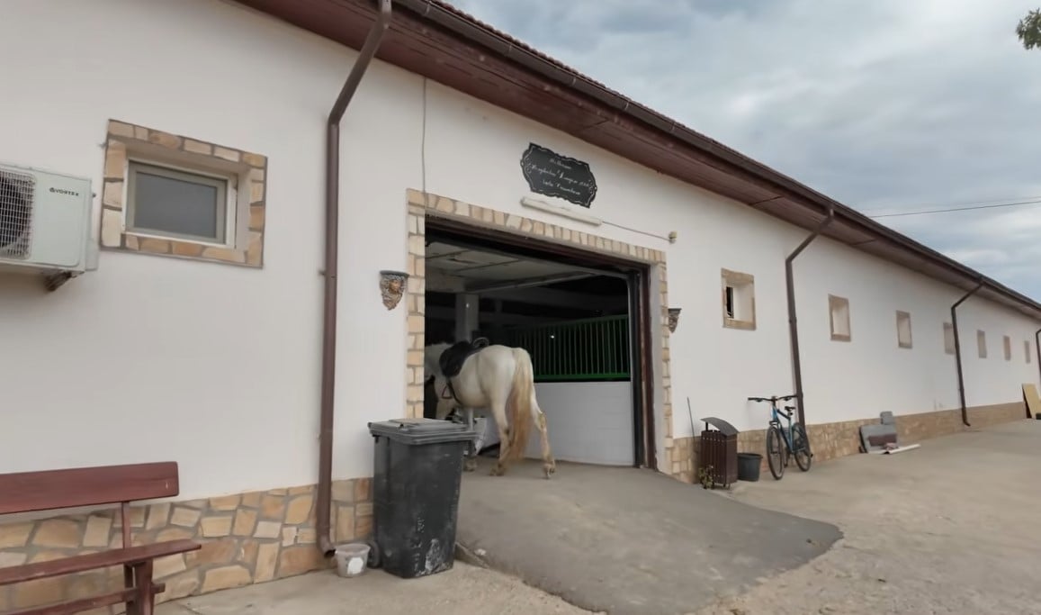Imagini rare cu proprietatea lui Nuțu Cămătaru. Cum arată domeniul din Ferentari unde sunt crescuți cai și animale exotice