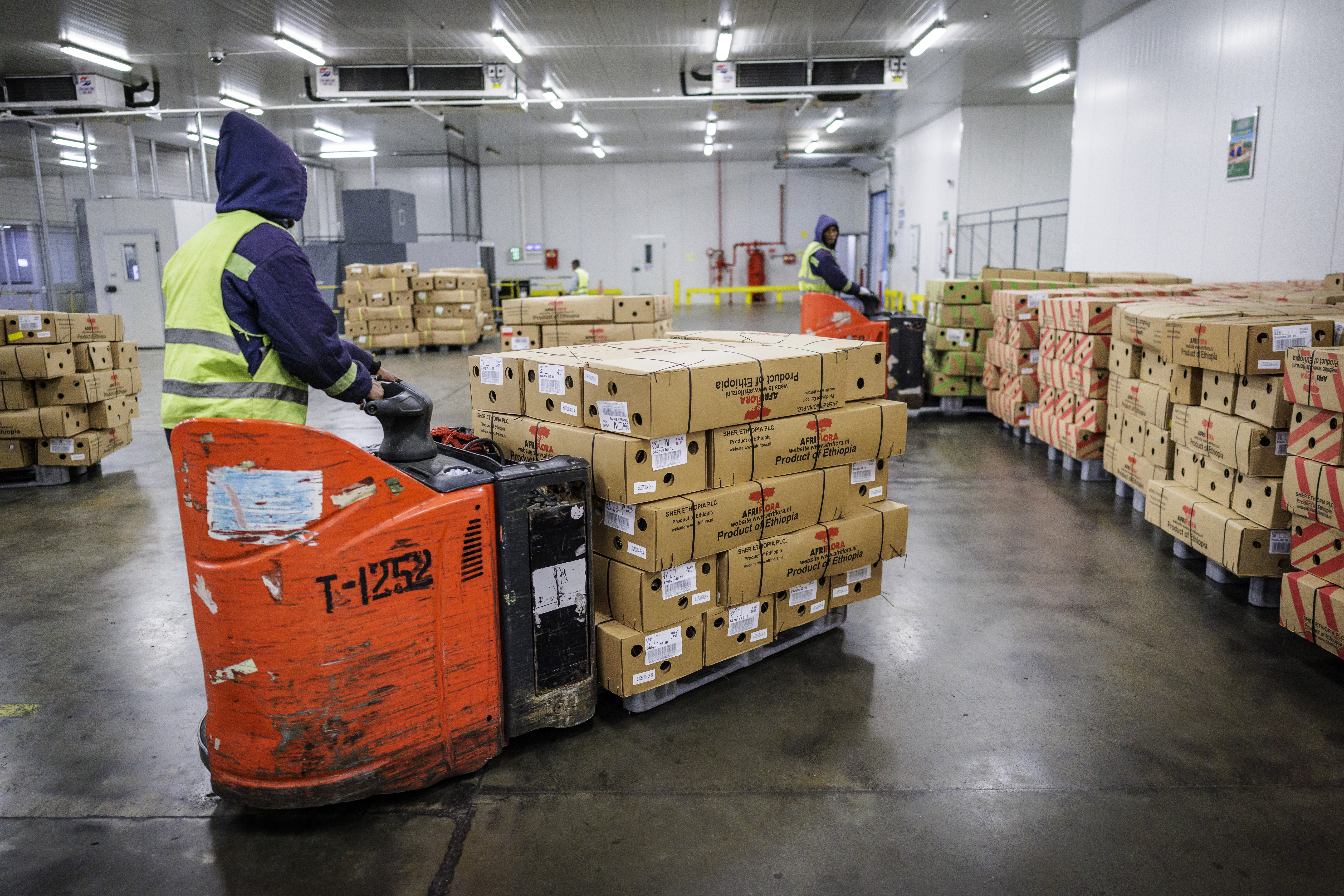 Ethiopia records export boom with $8.7 billion in revenue after currency reforms