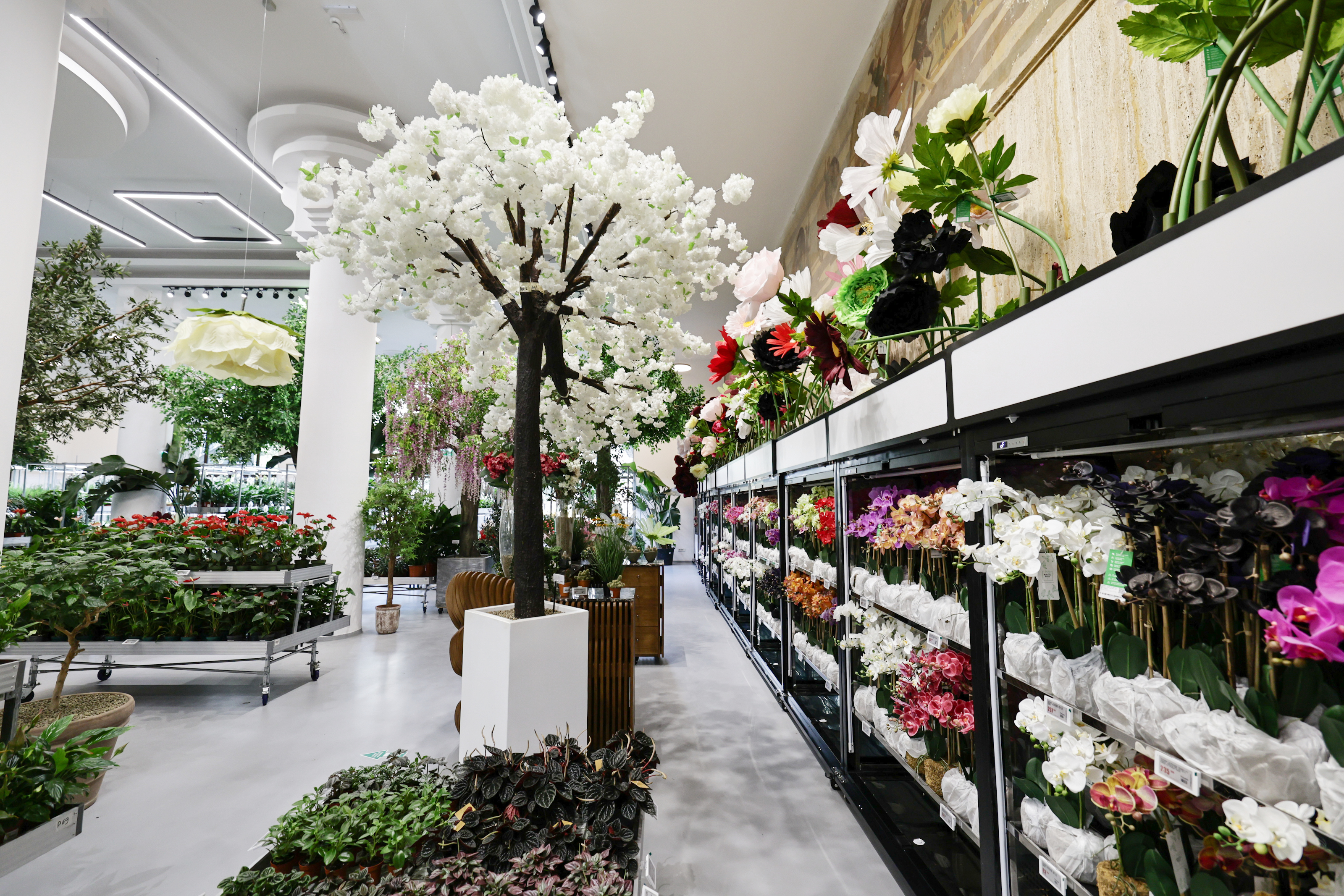 Mall-ul de plante din București are cinci niveluri cu peste 1.200 de soiuri, ghivece inteligente și un mesteacăn artificial care costă cât un apartament