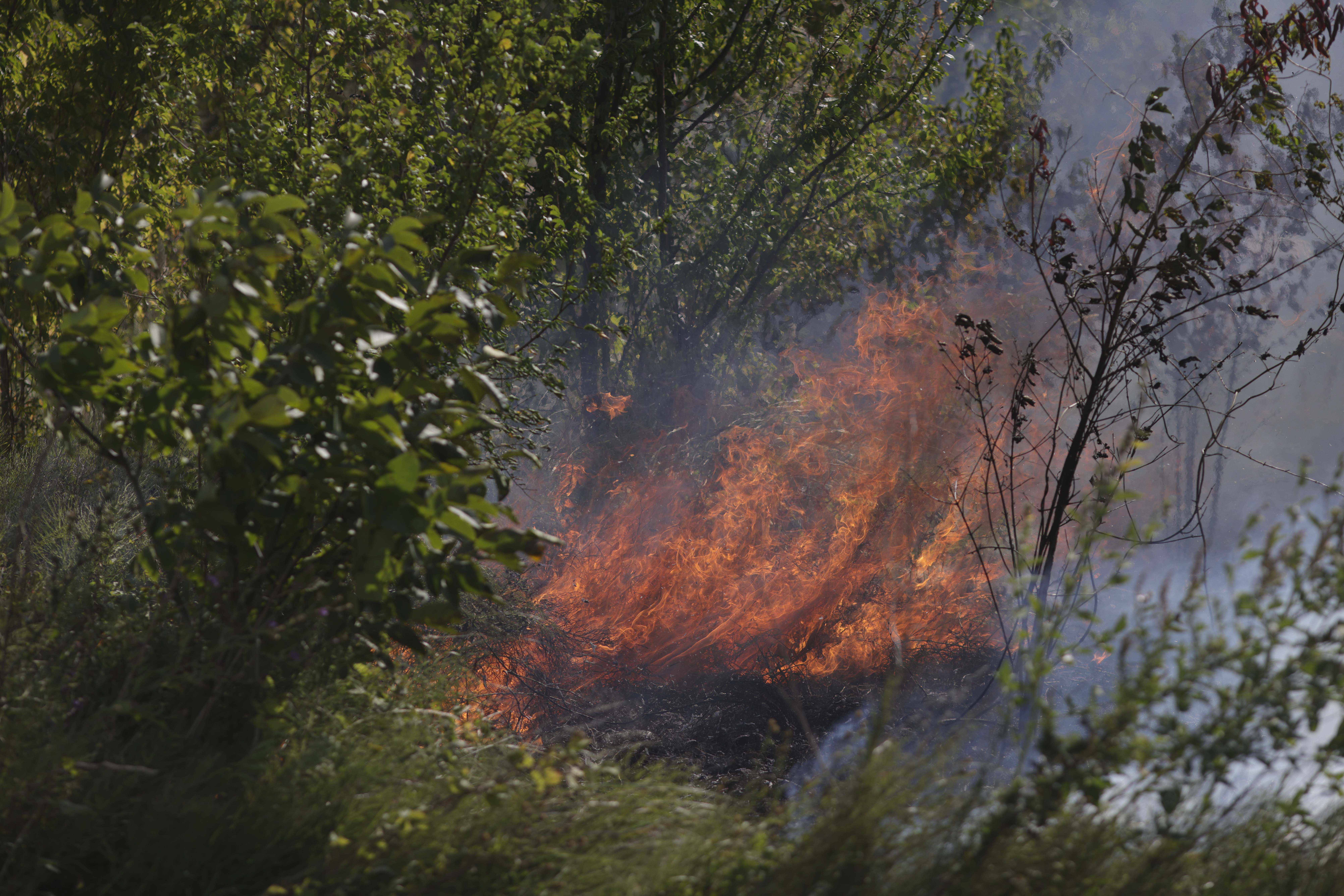 Incendiu uriaș de vegetație în Maramureș. Flăcările au ajuns în zona locuințelor. Circa 90 de oameni, evacuați