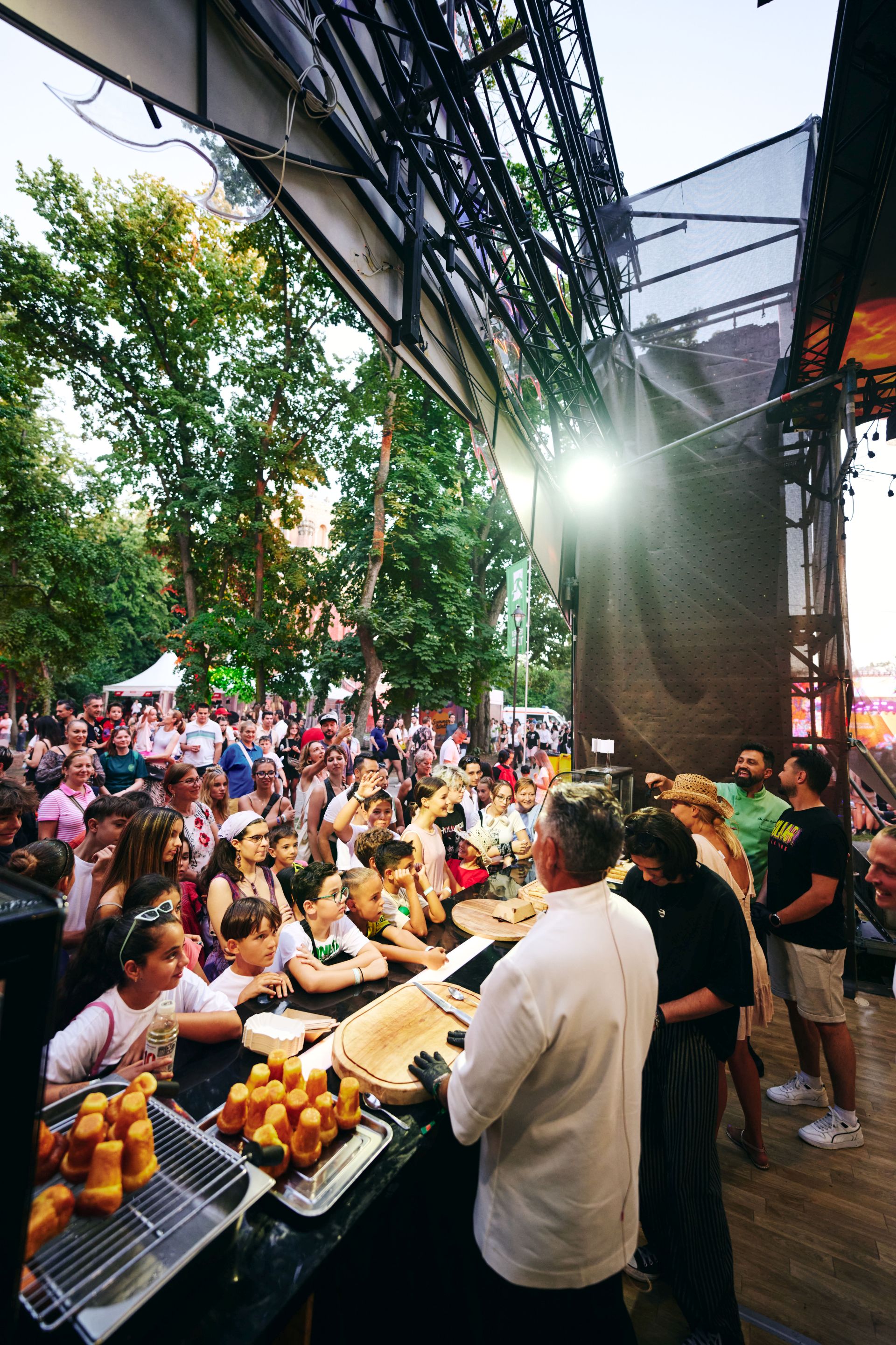 Cum au fost surprinși jurații de la „Chefi la cuțite” la Festivalul Summer Well 2025 de pe Domeniul Știrbey din Buftea