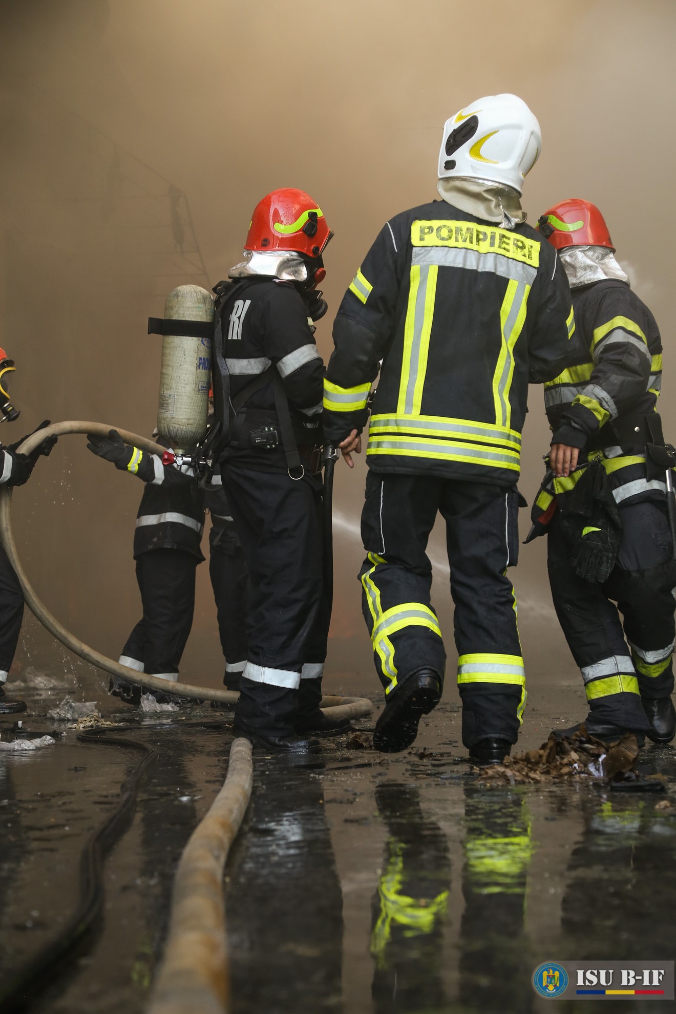 VIDEO | Un pompier și-a riscat viața pentru a salva o pisică dintr-un incendiu puternic. “Vă rog să-mi spuneți că trăiește”