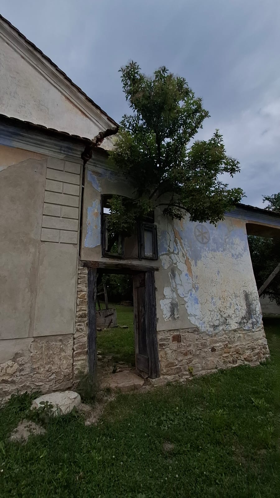 Pictorul Ștefan Câlția: Nicolae Ceaușescu a fost un criminal, le-a făcut românilor o „teribilă operație"