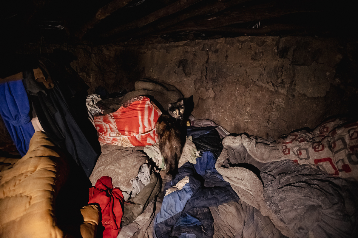 După ce i s-a stricat soba din bordei, un pensionar din Iași se încălzește doar cu pisici: „Problema țării e că sătulul nu crede la ăl flămând” | REPORTAJ