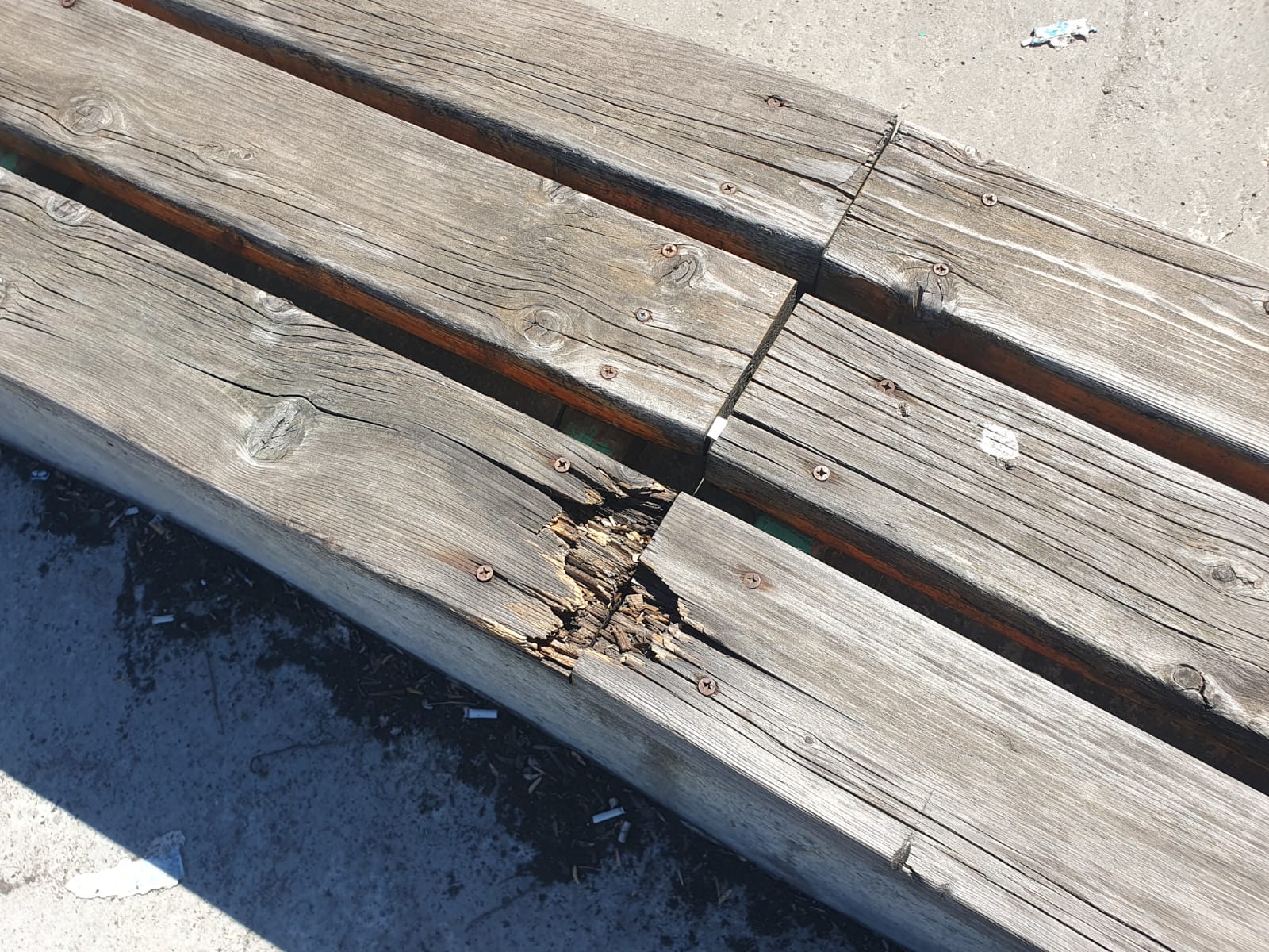 Apocalipsa din Parcul Tei: complexul de distracții abandonat, bănci vandalizate, munți de gunoaie, pontoane devastate. Pericol iminent de tragedii!