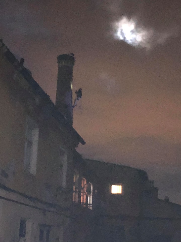Barză prinsă de frig în Codlea. A fost nevoie de intervenția alpiniștilor pentru a fi salvată