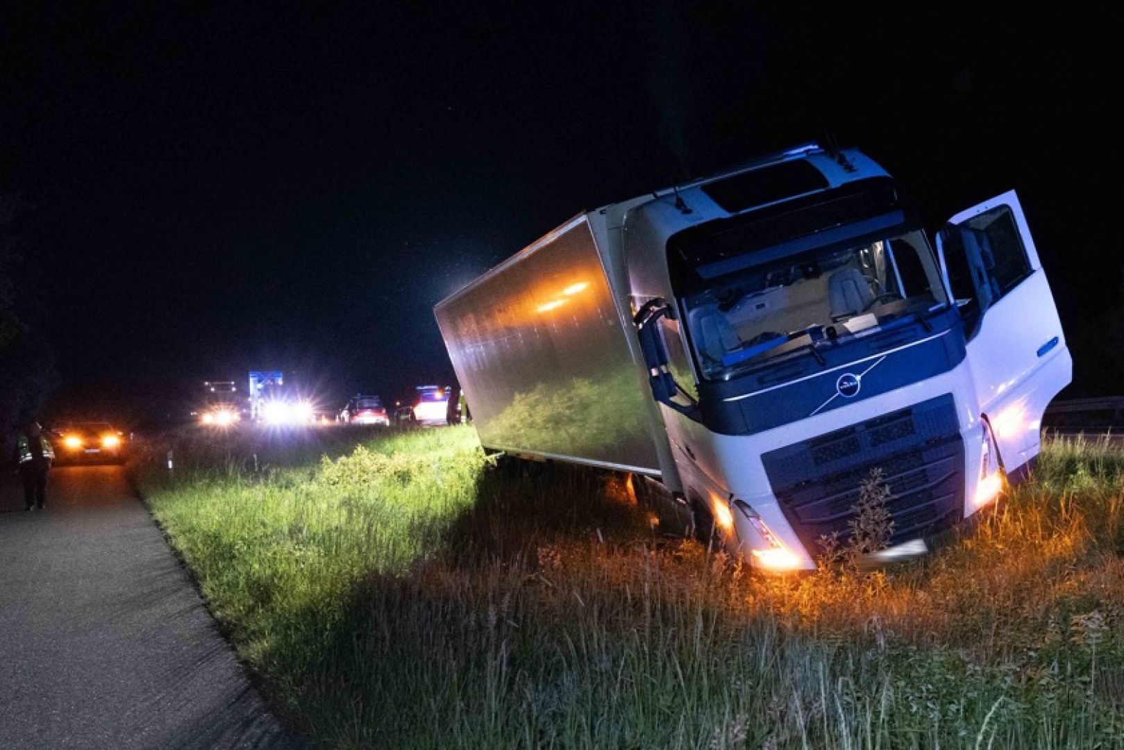 Șofer român de TIR scos de pe șosea de o turmă de căprioare, în Germania