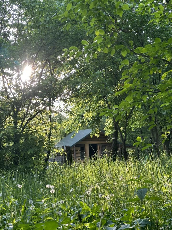 Cum arată cabana din pădure a Mihaelei Bilic după ce i-a pus acoperișul. Și-a amenajat și curtea, unde are hamac