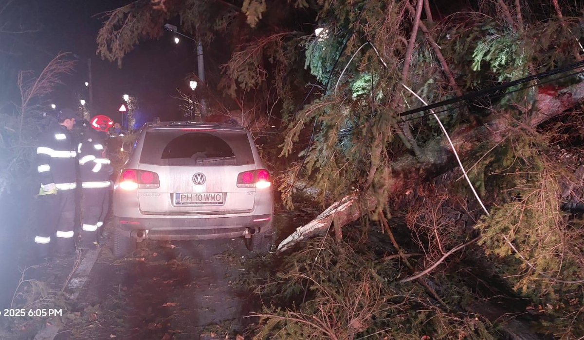 Furtună puternică pe Valea Prahovei: un stâlp a fost rupt, mai mulți copaci au fost doborâți de vânt, iar unul a căzut pe o mașină cu 3 oameni