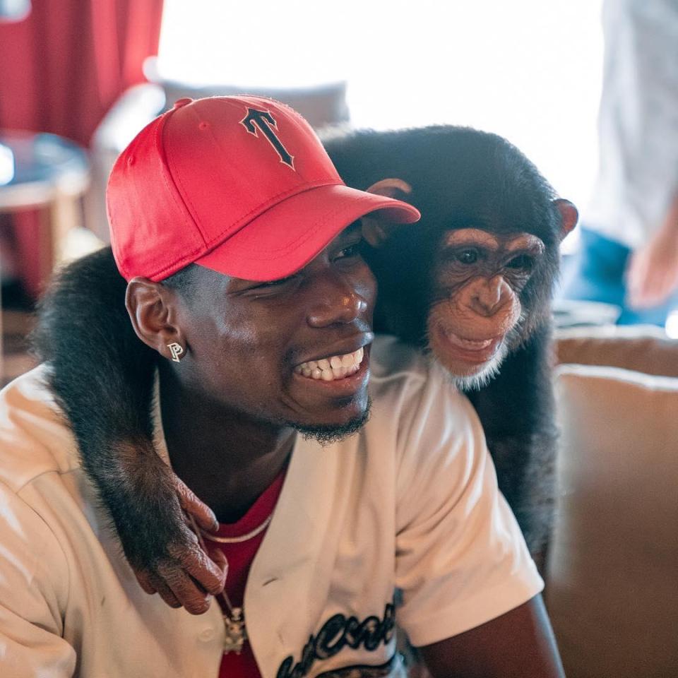 Rashed Belhasa, copilul putred de bogat, prieten al marilor sportivi, are o grădină zoologică în Dubai. Zoo pentru vedete