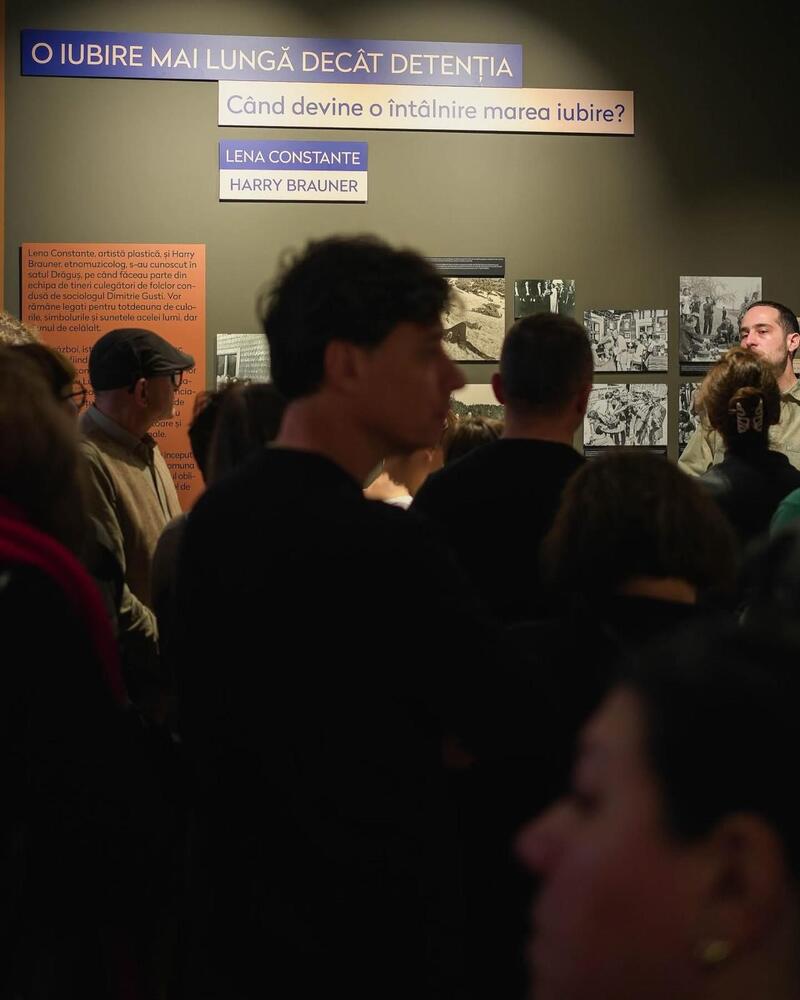 O expoziție populară din București ne avertizează cât de fragilă este democrația și ne reamintește forța prieteniei. Andreea Apostu, curatoare: „Oamenii au ajuns să fie «dispensabili», iar relațiile sunt mult mai efemere”