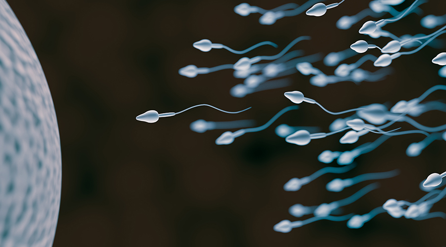 Male biological clock: Here\'s the age sperm quality in men starts declining