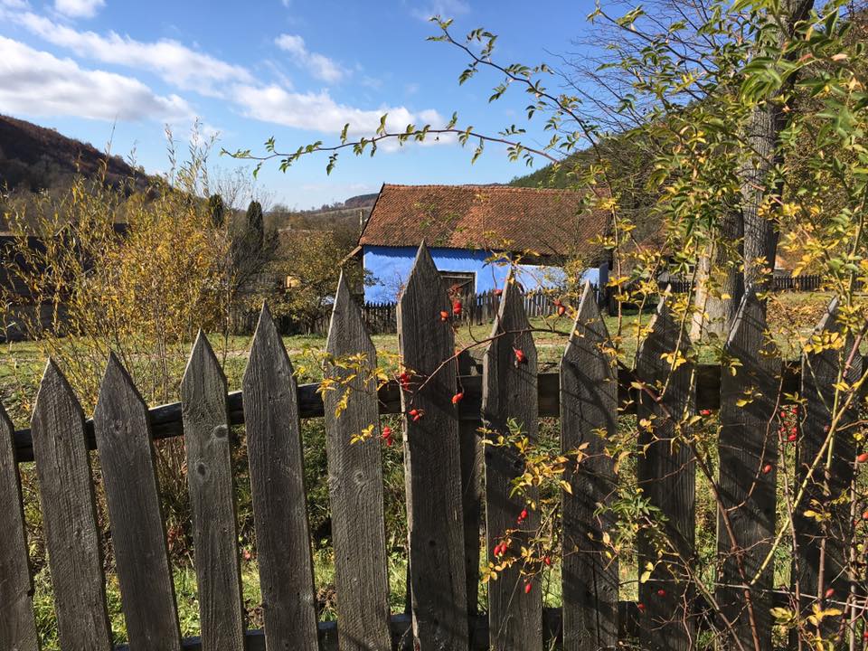 The New York Times a vizitat înainte de încoronare casa din Transilvania a regelui Charles, una dintre cele 56 de cabane, 12 case și 7 palate pe care acesta le deține