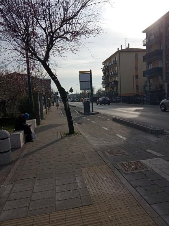 Veneția este pustie. O româncă, ghid în orașul cu 30 de milioane de turiști pe an: „Financiar, e un dezastru”