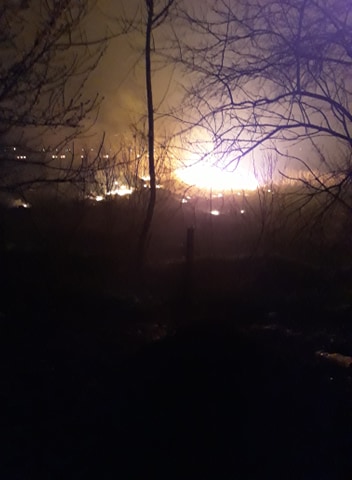 VIDEO Incendiu de vegetație în apropierea caselor din Fierbinți. Au ars 350 hectare de stuf și iarbă uscată: “Ne-am panicat, flăcările erau uriașe”
