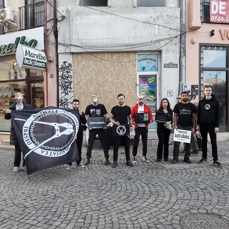 FOTO&VIDEO/ Veganii fac un flashmob la târgul de miei din București, în duminica Floriilor: „Oaia are inteligența unui copil de trei ani”