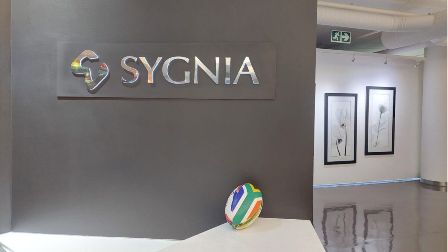 Sygnia’s expanded employee scheme will have capacity for 25 million shares, of which nearly seven million have already been awarded. [Daily Investor]