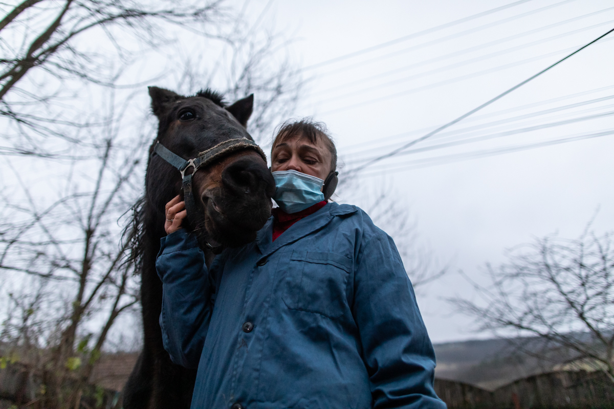 REPORTAJ. În loc de reni, Moș Crăciun a venit anul acesta cu o caravană salvatoare pentru iepe, măgărițe, câini și pisici