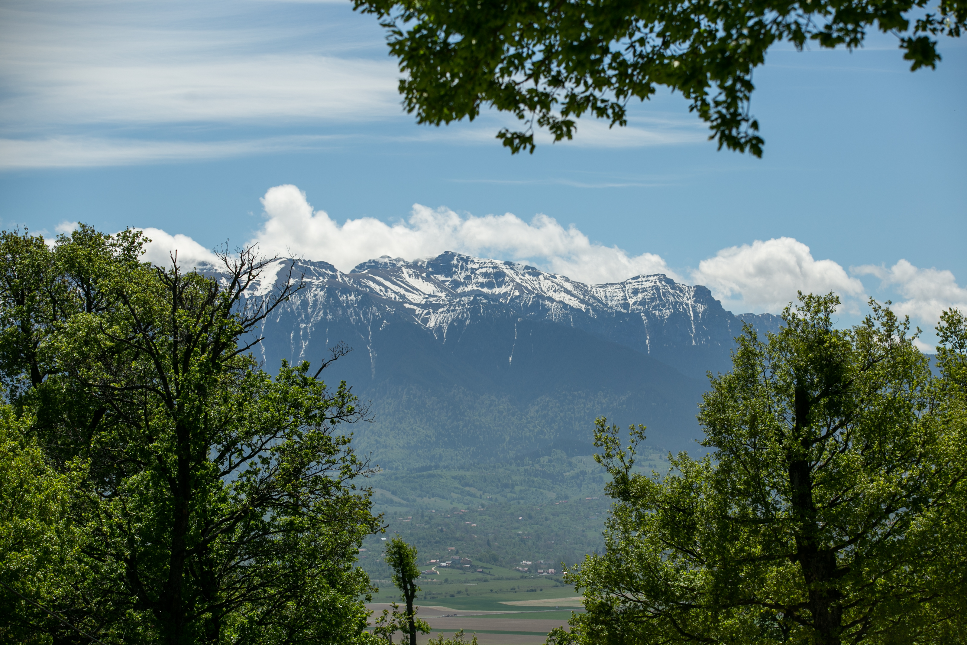 Sanctuarul de la Zărnești, fără vizitatori și fără donații în vremea pandemiei. Urșii cu povești triste au traume și ticuri de copii orfani
