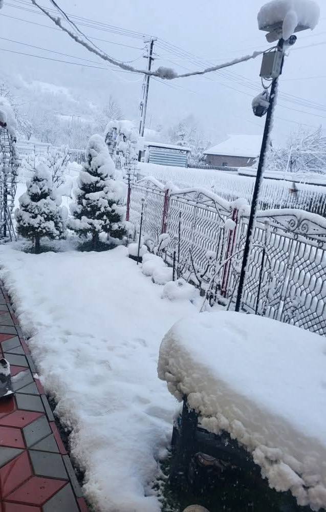 Ninge în mai multe județe din România. Meteorologii dezvăluie care este „singura parte bună” a ninsorilor din aprilie