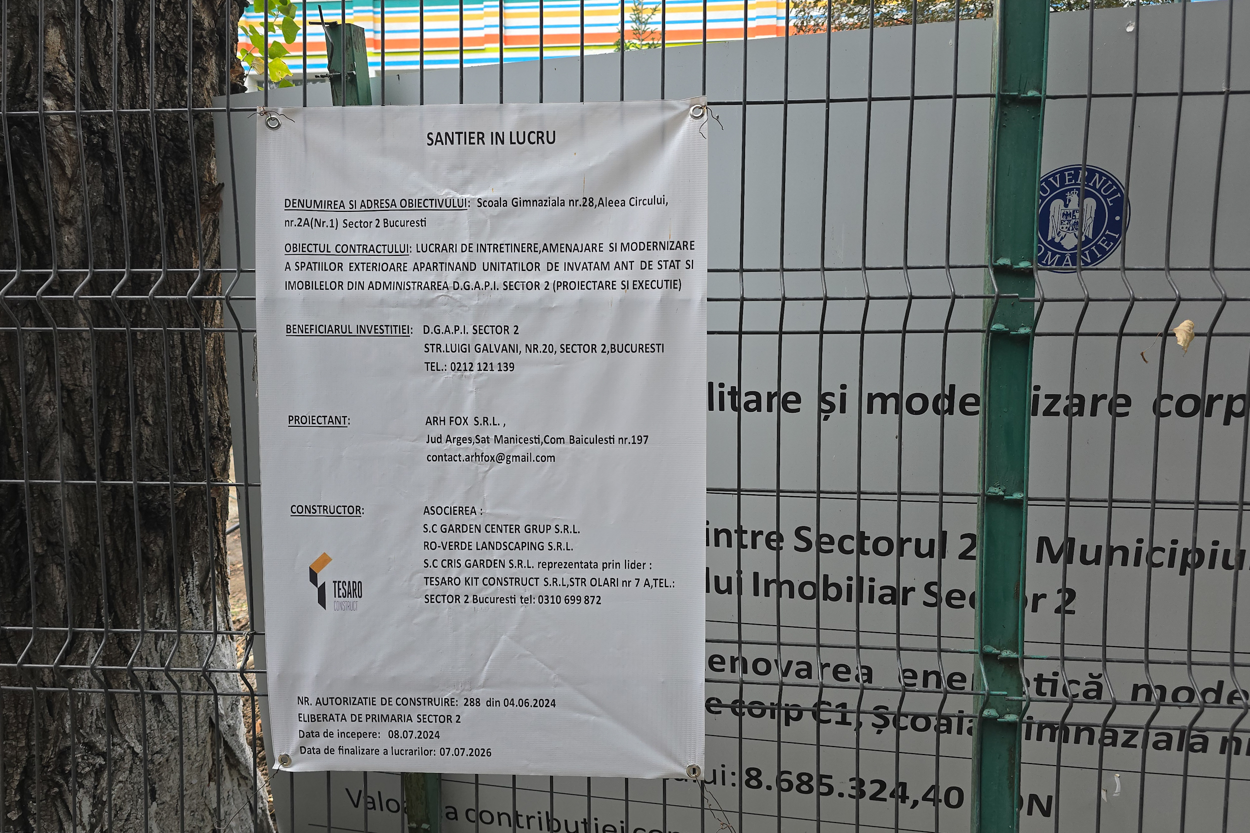Au băgat excavatorul ca să facă șanțuri pentru gardul unei școli din București și au rupt rădăcinile a zeci de copaci