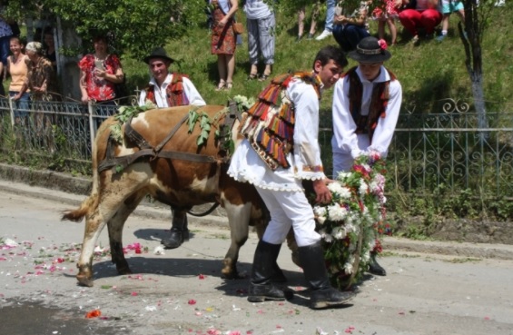 Fetele din Figa nu rămân nemăritate nici anul acesta. Tradiția, respectată cu sfințenie de sute de ani în județul Bistrița-Năsăud