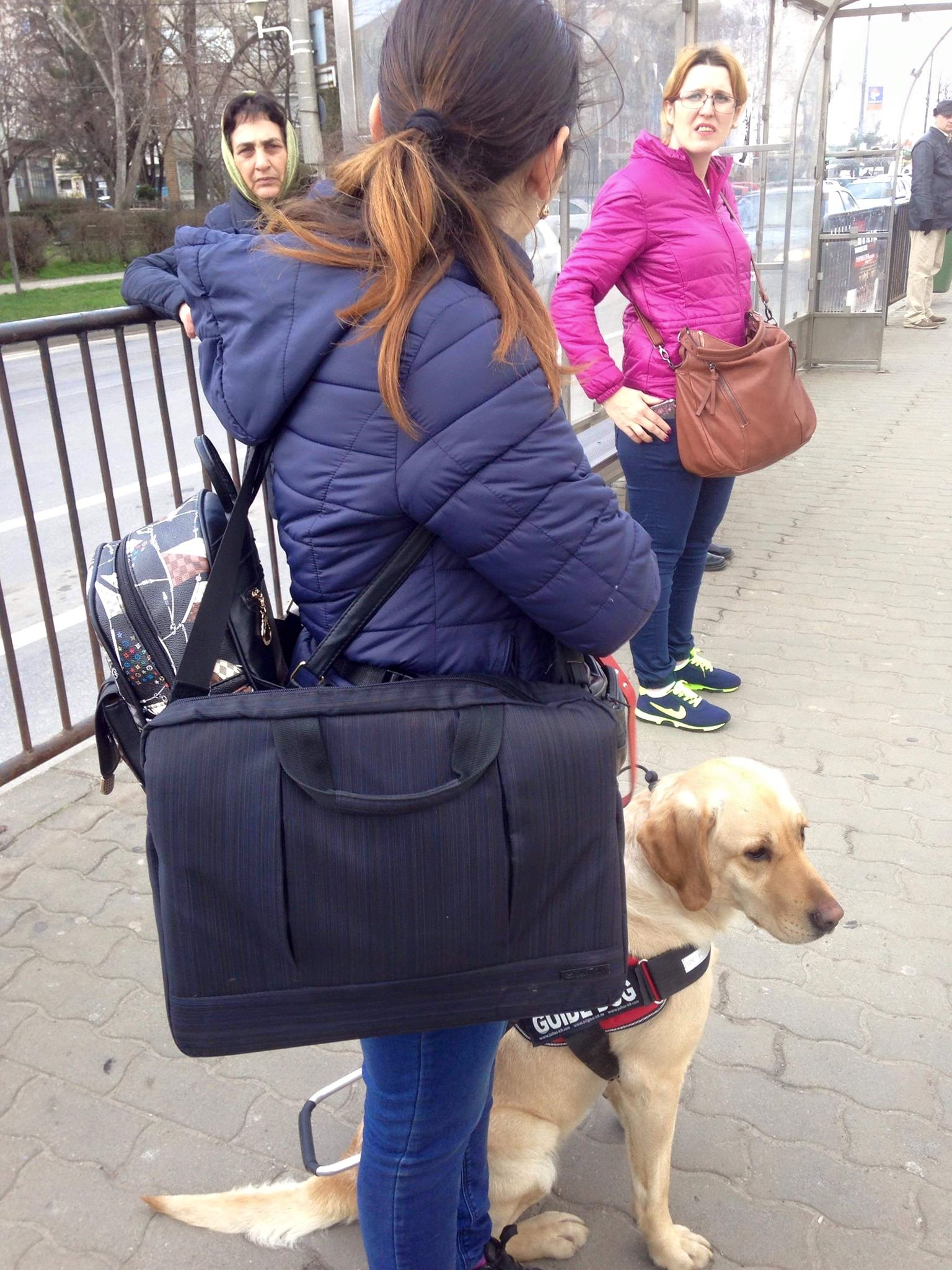 REPORTAJ/ Câinii-ghid sunt salvarea nevăzătorilor. Daria și Daisy sunt o echipă cu o singură pereche de ochi /FOTO