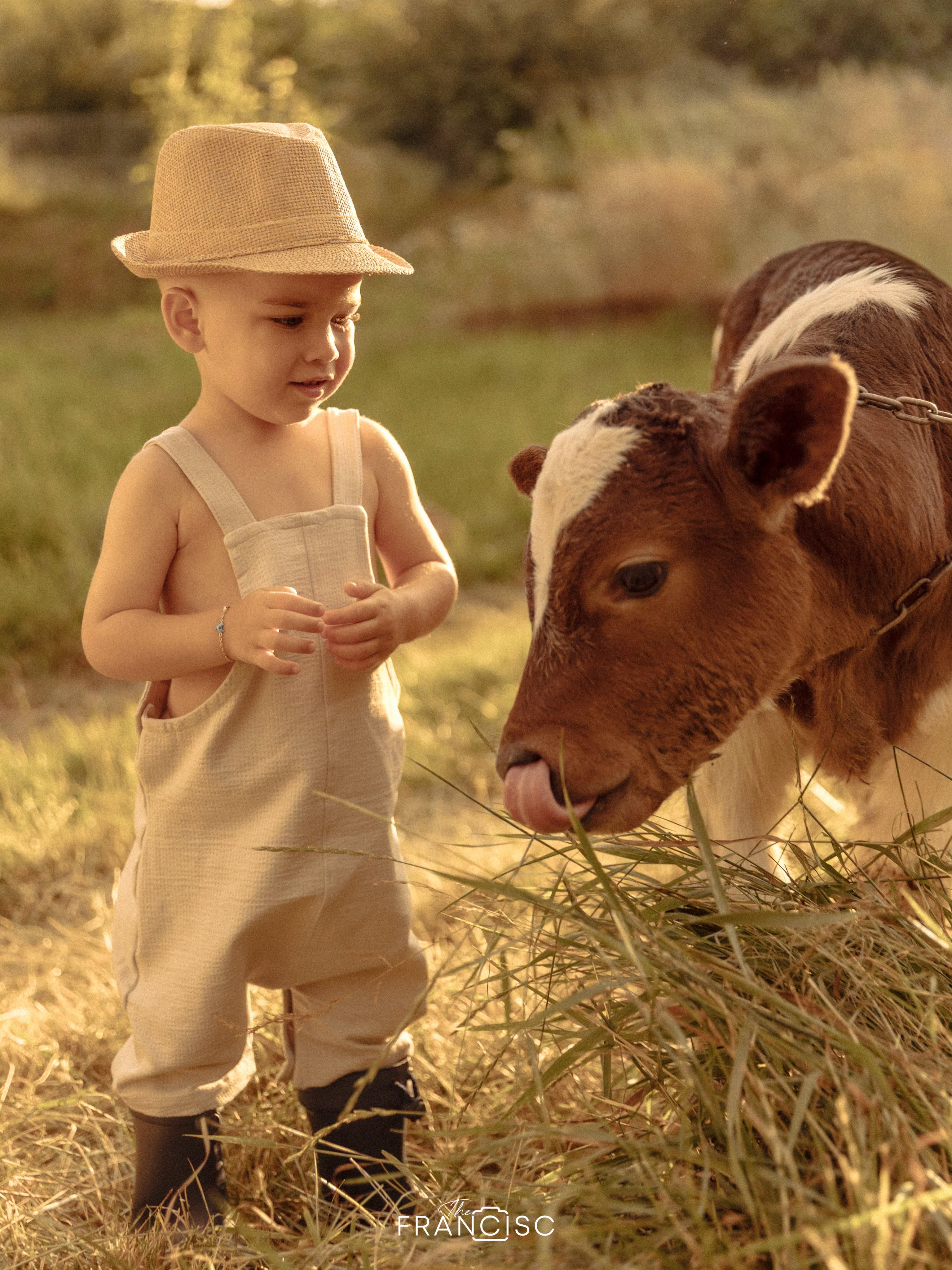 Imagini adorabile de la petrecerea fiului Vlăduței Lupău. Isaia a împlinit 2 ani, iar decorul a atras toate privirile
