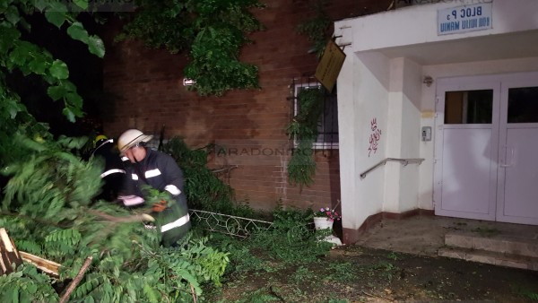 Furtună puternică în Arad. Incendiu, sute de case fără curent și mașini distruse de copaci din cauza vijeliei