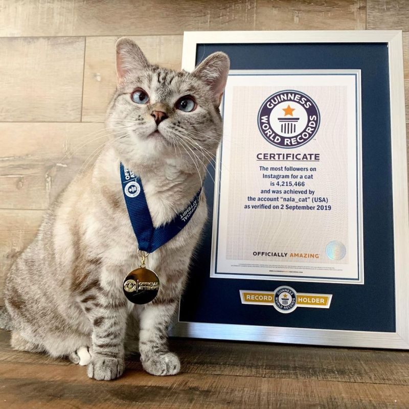 Nala holds the Guinness World Record [LinkedIn]