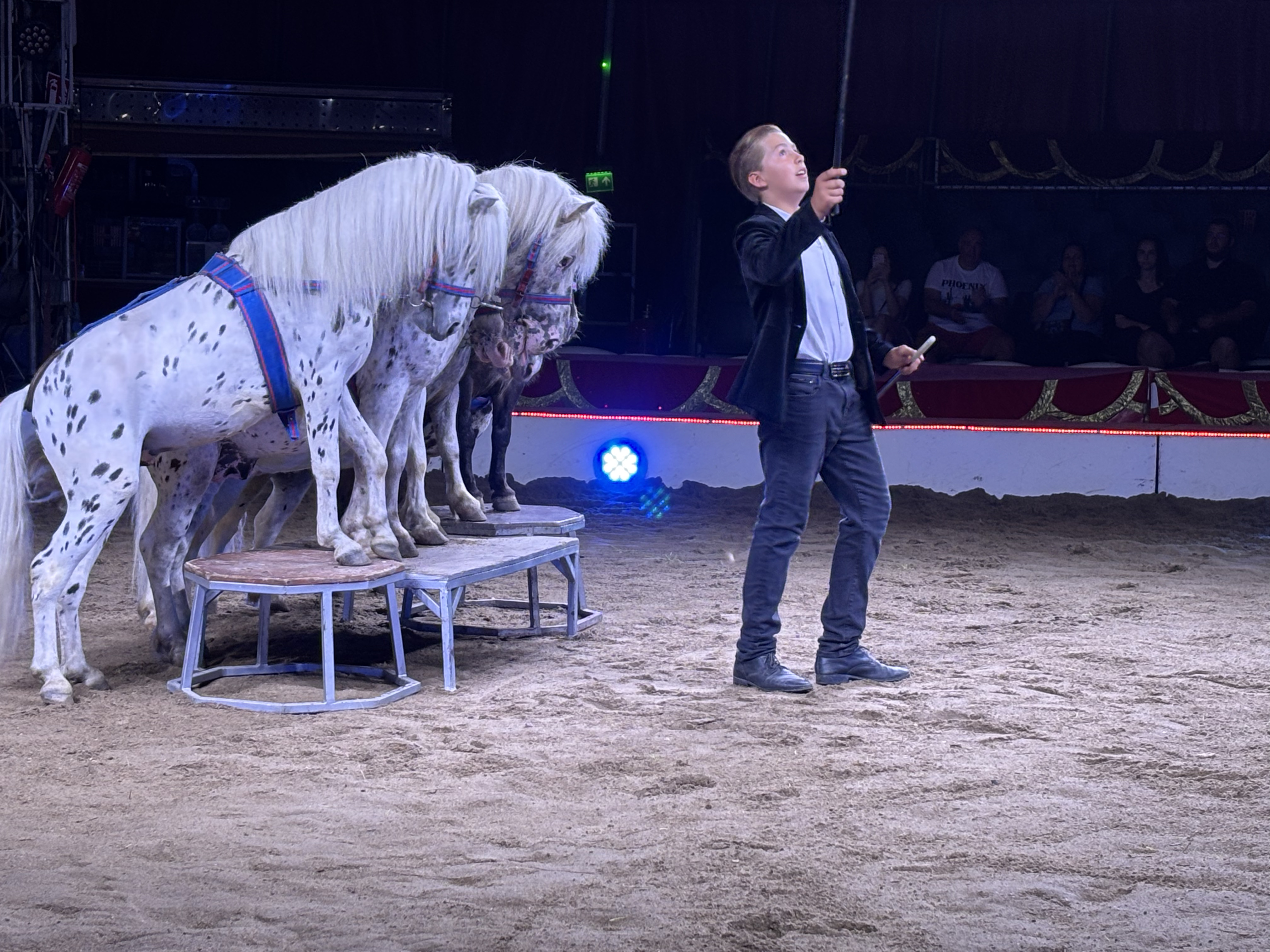 Din nou la Circ. Râzi cu Clovnul, te amuzi cu cai și papagali. Ți se taie răsuflarea cu acrobați. Nimic nu se compară cu Globul Morții