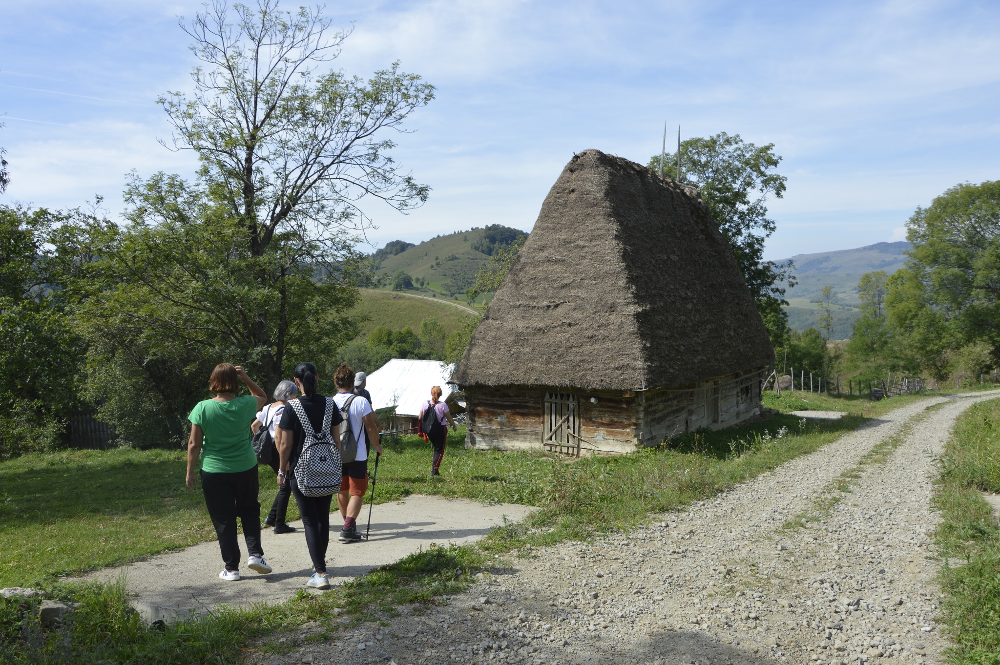 Șurile cu acoperiș din paie, construcțiile arhaice din Apuseni care rezistă de peste 100 de ani. Drumul nou care le face accesibile turiștilor