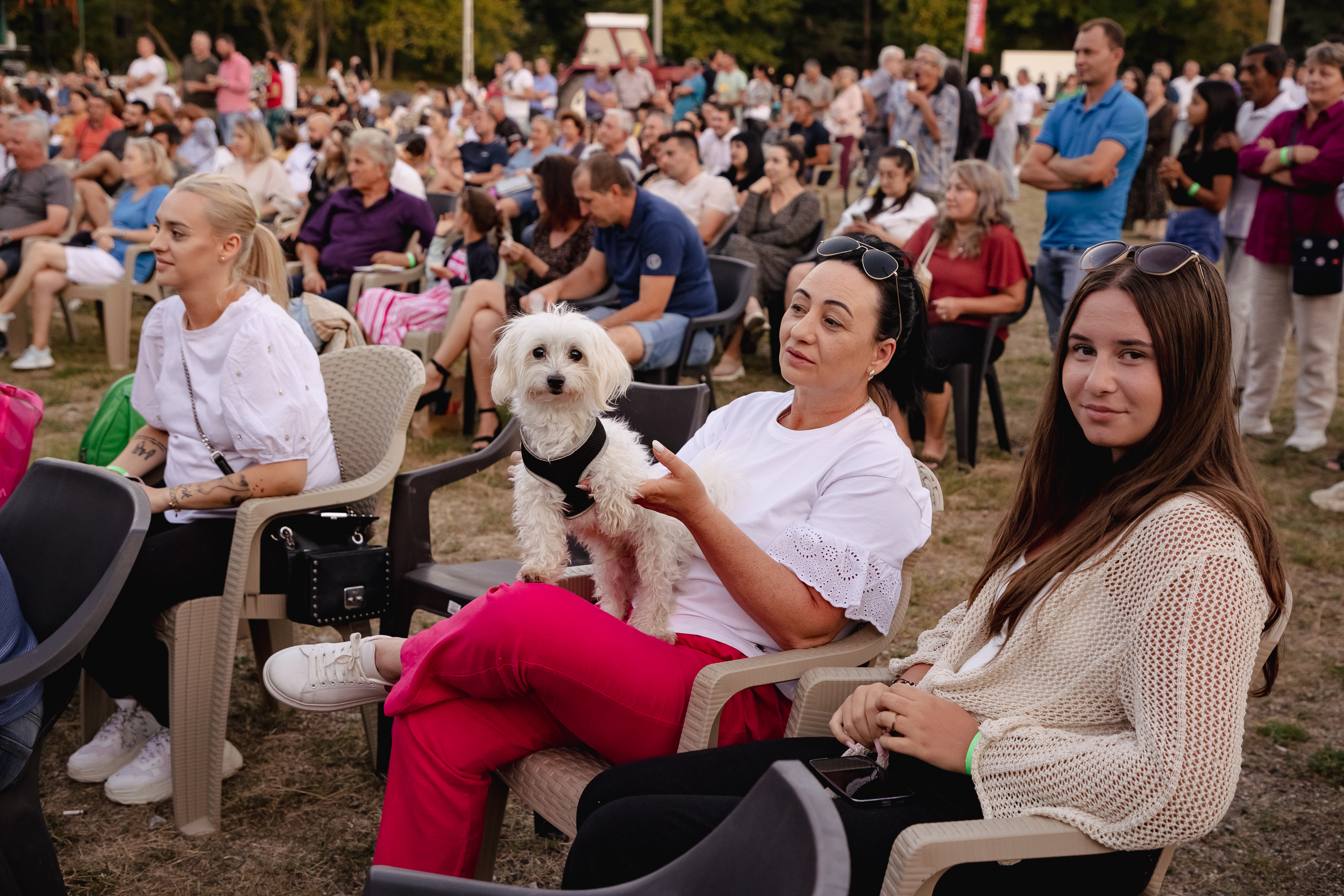 REPORTAJ Actorul Cuzin Toma a venit cu Taraful Caliu să aducă Film în Sat, la Peștișani, Gorj: „Să știe oamenii care m-au văzut crescând că joc și roluri serioase!”
