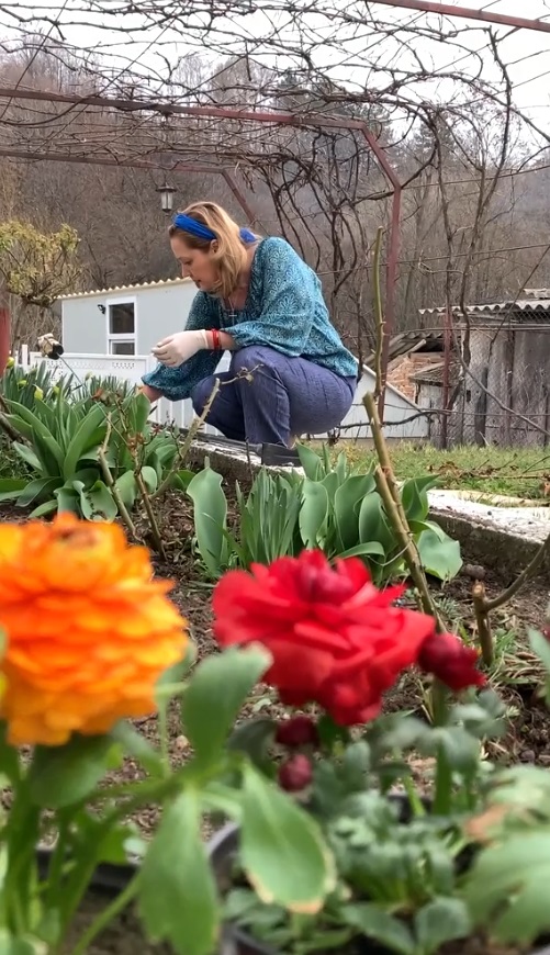 Imagini cu Elena Lasconi în grădina casei sale din Câmpulung Muscel. A dat cu sapa, a greblat, iar apoi a plantat flori de primăvară